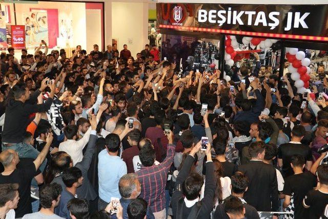 Beşiktaş Başkanı Fikret Orman Van’da