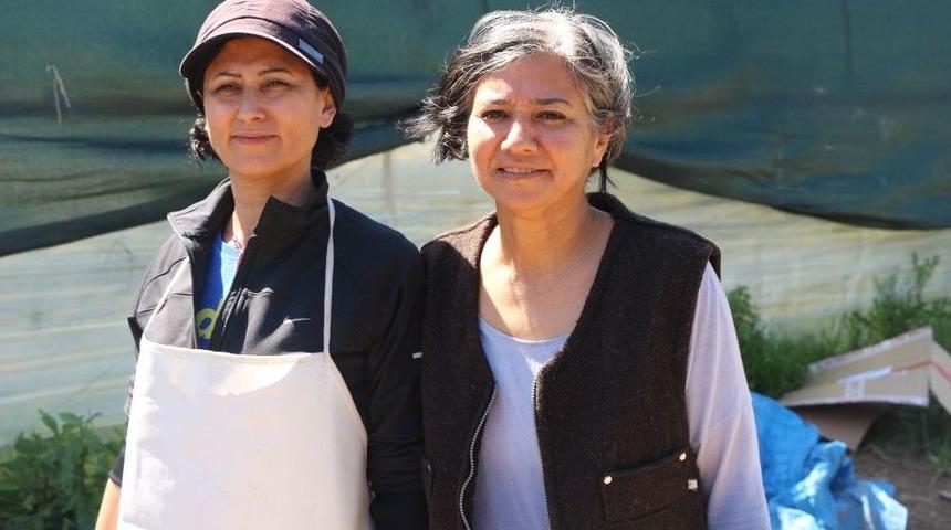 Doğaya Zarar Vermeden Para Kazanıyorlar