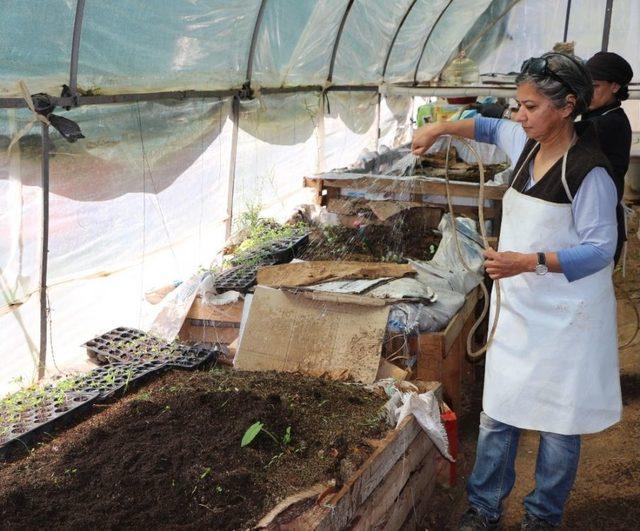 Doğaya Zarar Vermeden Para Kazanıyorlar 3