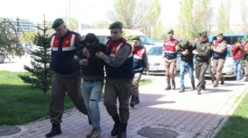 Büyükbaş Hayvan Hırsızlığı Şüphelisi 3 Kişi Tutuklandı