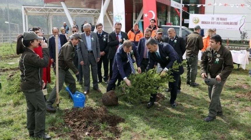 Hastanesi Bah&ccedil;esine Fidan Dikildi