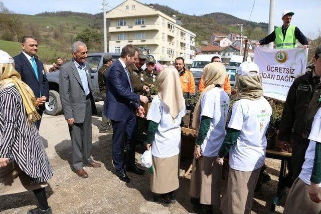 Hastanesi Bahçesine Fidan Dikildi