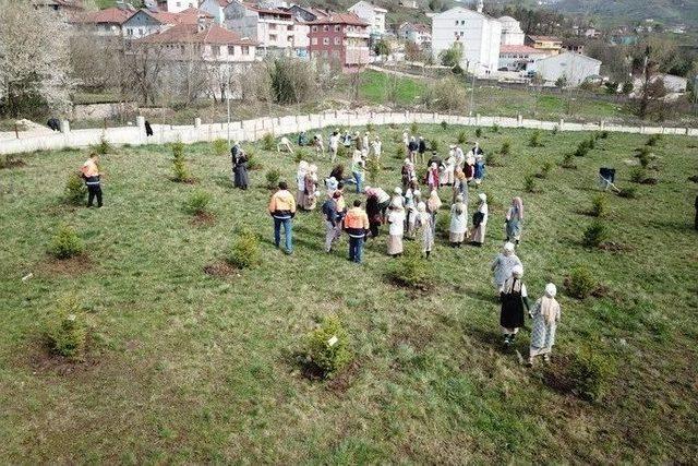 Hastanesi Bahçesine Fidan Dikildi