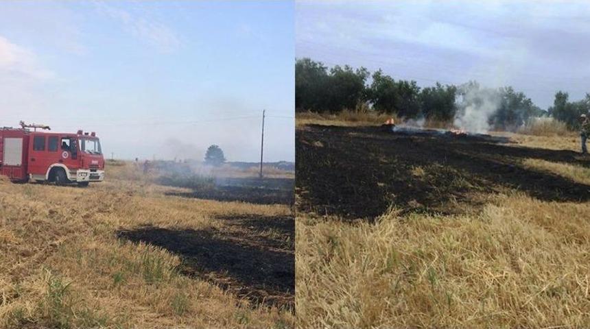 Anız Yangını Büyümeden Söndürüldü