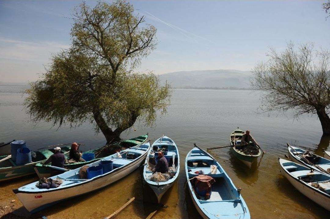 Balık&ccedil;ılar Turnayı G&ouml;z&uuml;nden Vurdu