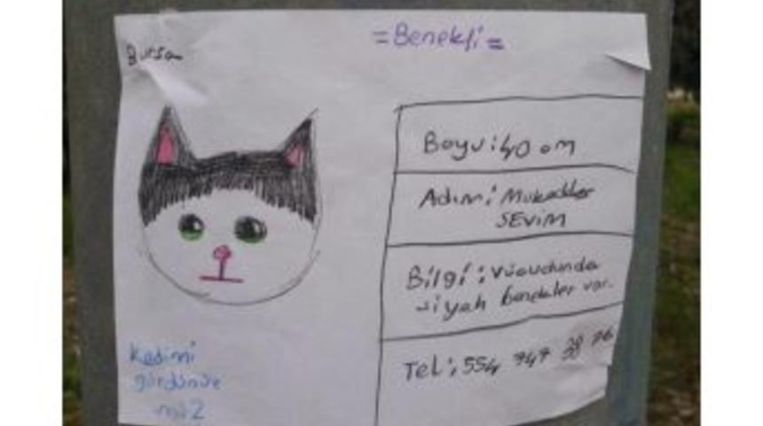 Sosyal Medya&rsquo;da Fenomen Olan Kayıp Kedi &rsquo;benekli&rsquo; Bulundu.