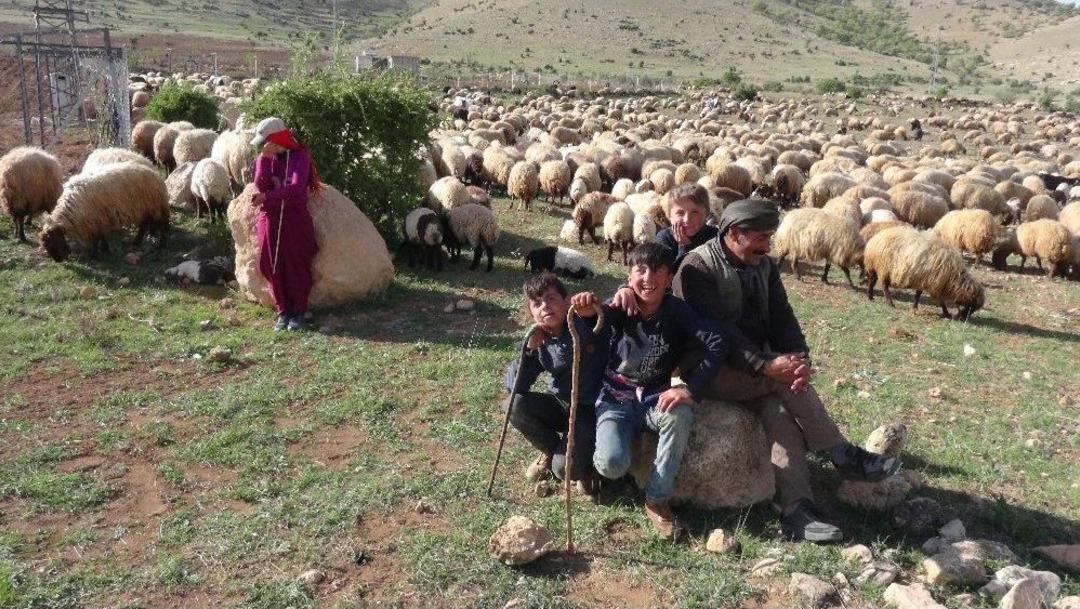 Gerc&uuml;ş&rsquo;te G&ouml;&ccedil;erlerin Zorlu Y&uuml;r&uuml;y&uuml;ş&uuml; Başladı