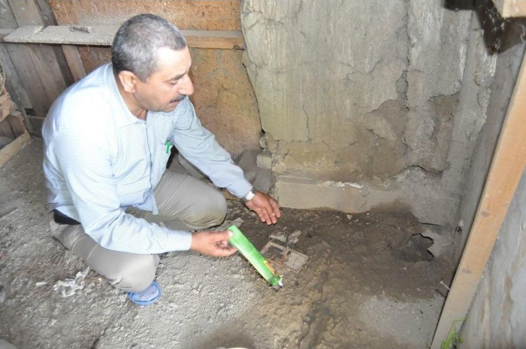 Bu Mahallenin Başı Kan Emicilerle Dertte