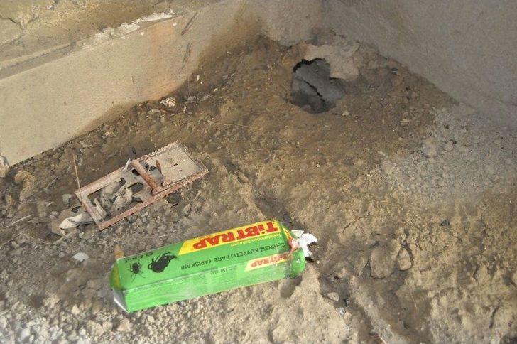 Bu Mahallenin Başı Kan Emicilerle Dertte G1