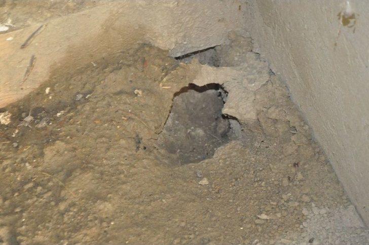 Bu Mahallenin Başı Kan Emicilerle Dertte G5