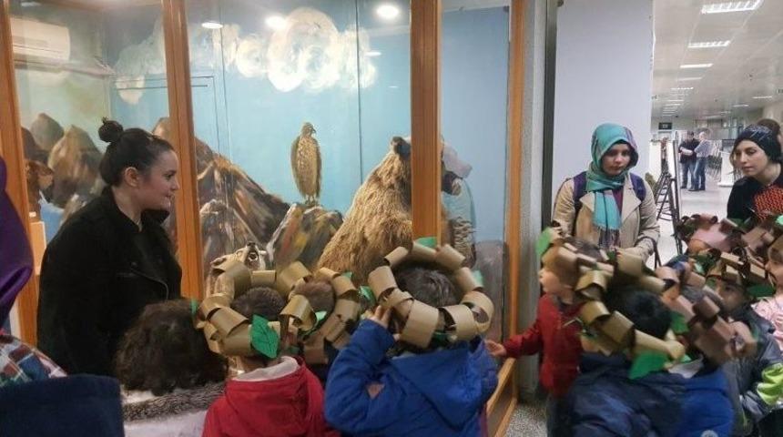 Minik &Ouml;ğrencilerden Herbaryum Gezisi