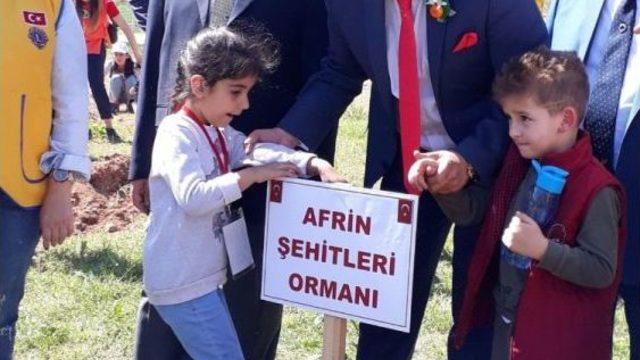Anaokul Öğrencileri Diktikleri Fidanlara Şehitlerin Adını Verdi