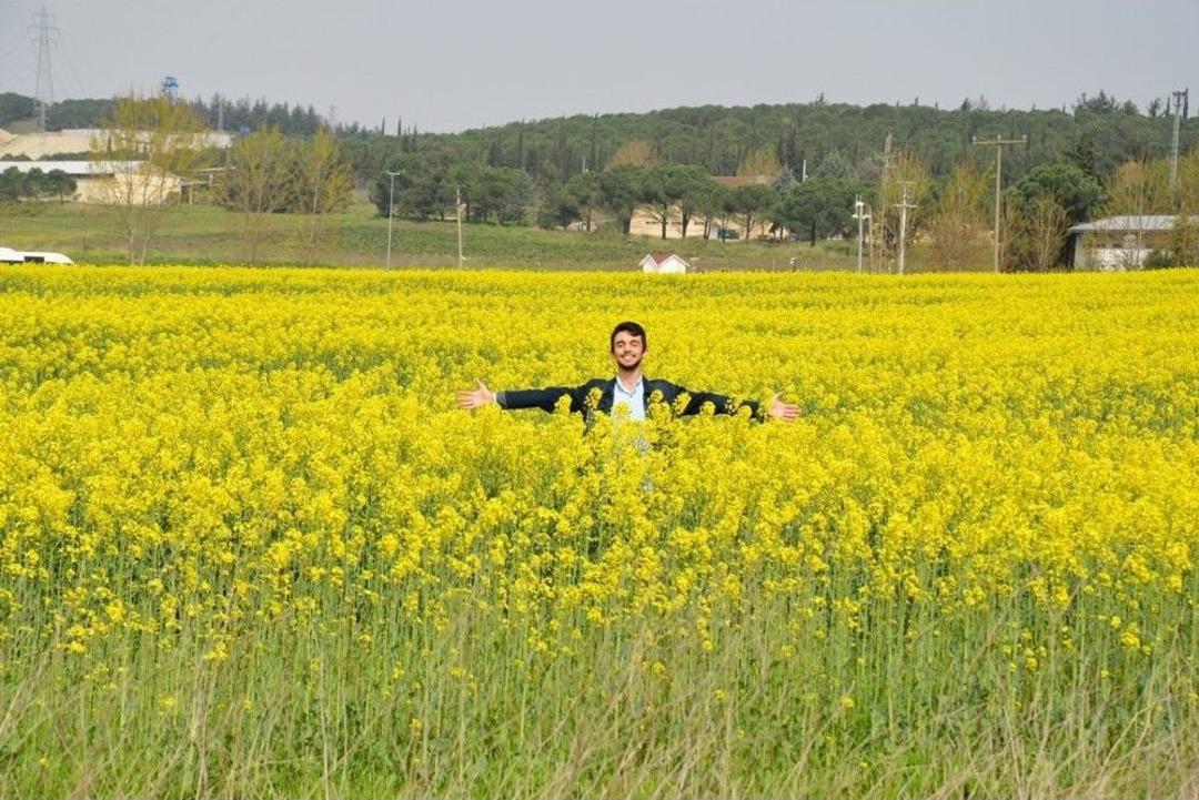 &Uuml;niversitenin Kanola Tarlası Fotoğraf St&uuml;dyosu Gibi