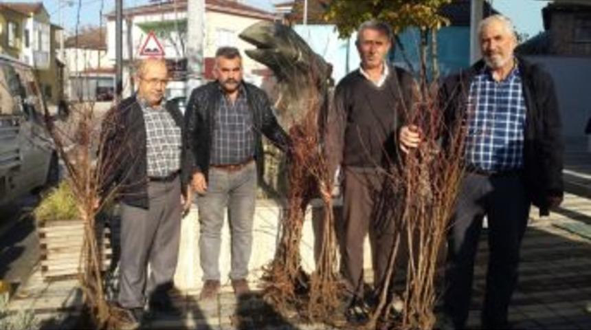 Nil&uuml;fer Belediyesi&rsquo;nden &Ccedil;ift&ccedil;iye Meyve Fidanı