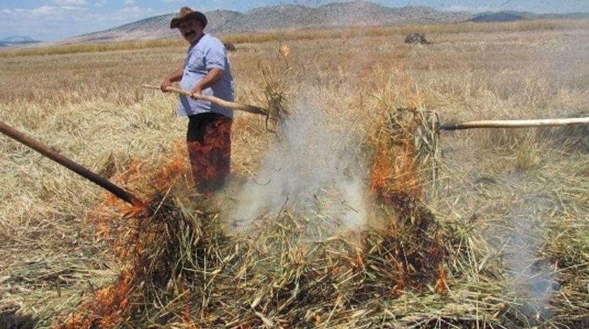 Kahramanmaraş&rsquo;ta Firik Buğdayı Hasadı Başladı