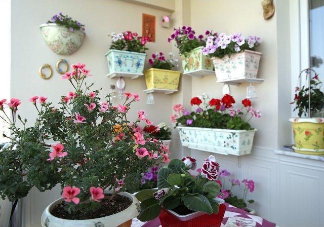 Buca’nın Balkonları Yarışıyor 1