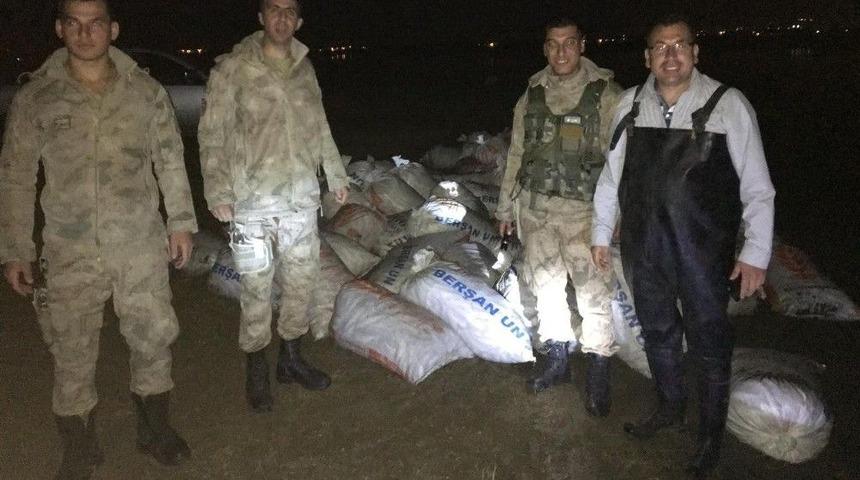 Van&rsquo;da Ka&ccedil;ak Avlanmış Toplanca İnci Kefali Ele Ge&ccedil;irildi