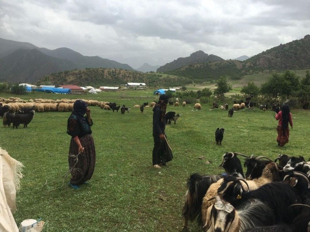 Ter&ouml;r Y&uuml;z&uuml;nden Gidilemiyordu, Şimdi Kuzu Sesleri Y&uuml;kseliyor