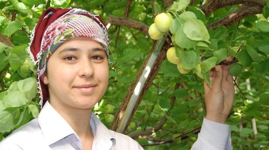 Silifke&rsquo;de Yılın İlk &Ouml;rt&uuml; Altı Kayısı Hasadı Başladı