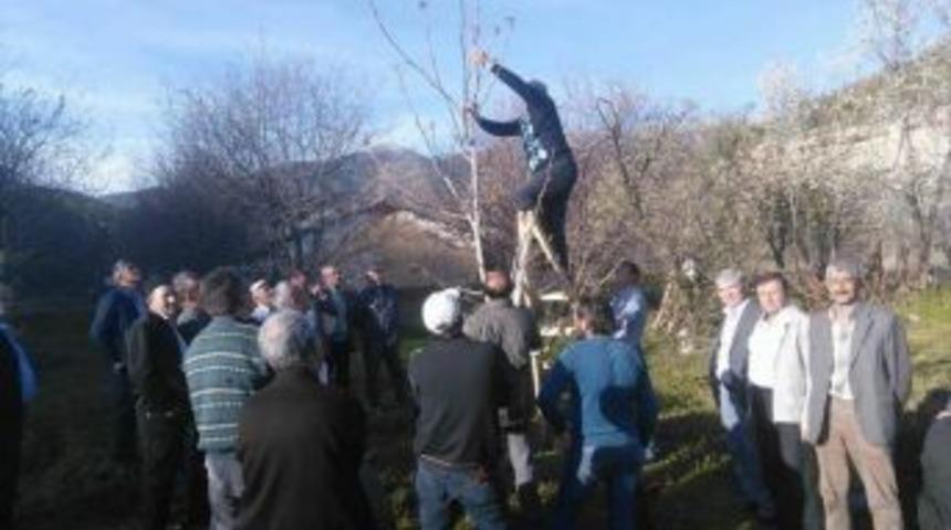 Şaphane&rsquo;de &rsquo;ağa&ccedil; Budama Ve Aşılama&rsquo; Kursu Sona Erdi