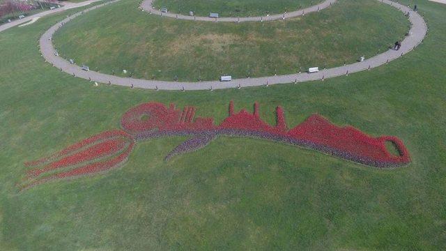 Kocaeli 11. Sekapark Lale Festivali’ne Hazır