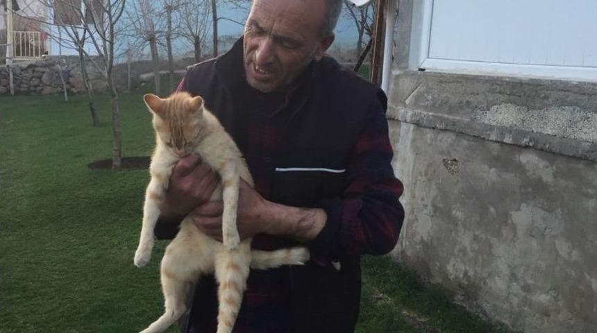 Kapı A&ccedil;an Sevimli Kedi