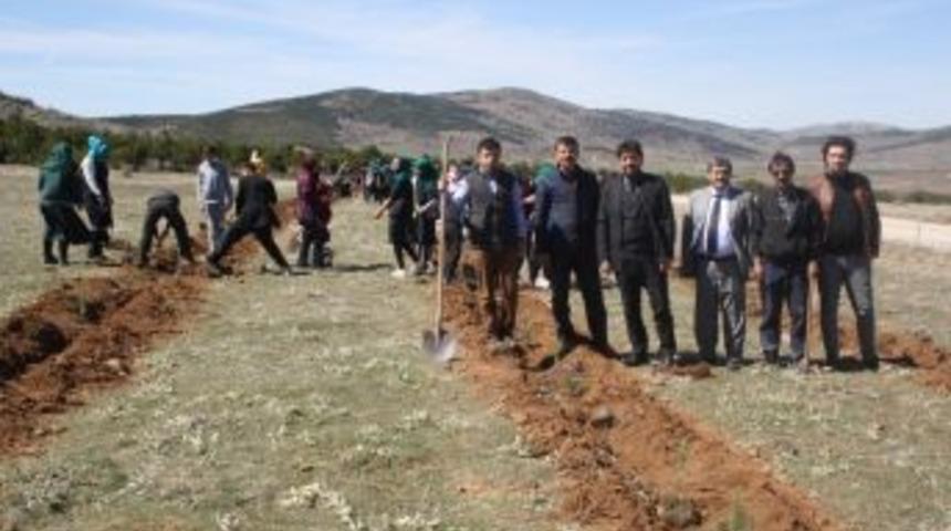 Derbent Daha Da Yeşile B&uuml;r&uuml;necek