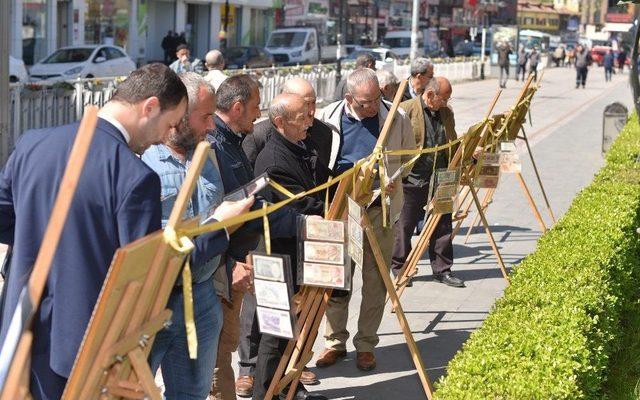 4 Dilde Basılan Tarihteki Tek Para Rize’de Görücüye Çıktı 2