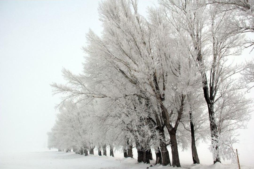 Doğu&rsquo;da Sibirya Soğukları