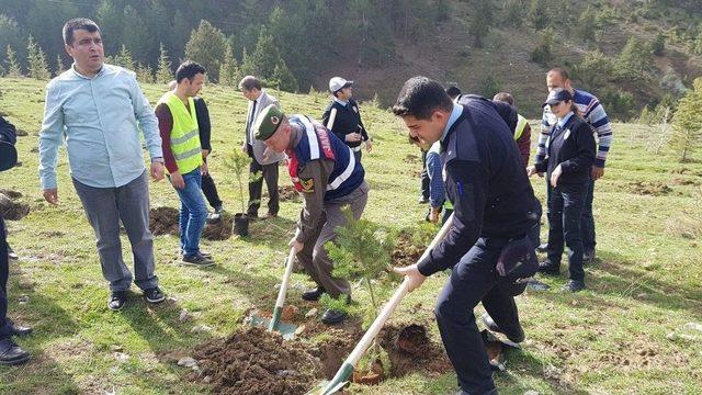 Polis Hatıra Ormanı Projesiyle 400 Fidan Toprakla Buluştu