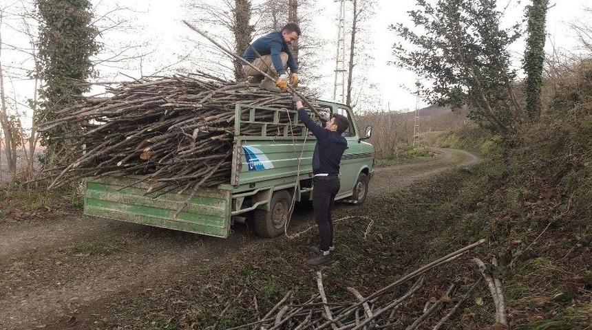 Ordu’da Kamyonetten Odun Yükünü Boşaltmaya Gülümseten Çözüm