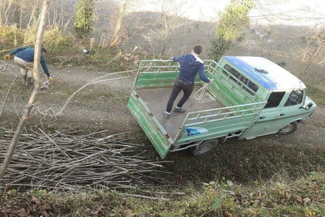 Ordu’da Kamyonetten Odun Yükünü Boşaltmaya Gülümseten Çözüm