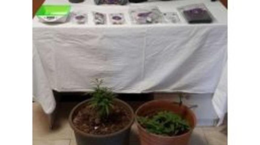 Alanya&rsquo;da Uyuşturucu Operasyonuna 11 Tutuklama