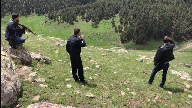 Cani Koca Sabaha Kadar Ormanda Ağaç Kovuğunda Saklanmış