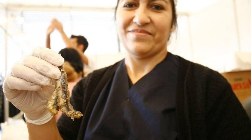 İzmir&rsquo;e Hamsi Yağacak