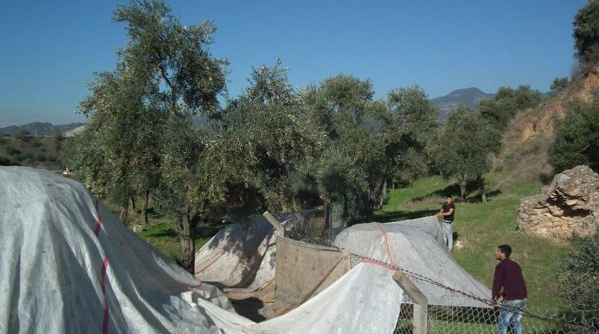 &Uuml;retici Sorunları Ve &Ccedil;&ouml;z&uuml;m &Ouml;nerileri Meclis&rsquo;e Taşınacak