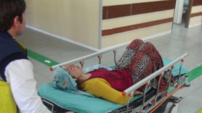 Atın &Ccedil;iftesi Kadını Hastanelik Etti