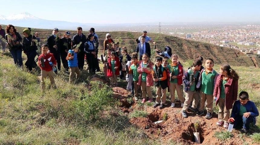 Öğrenciler, Zabıta Eşliğinde Fidan Dikti