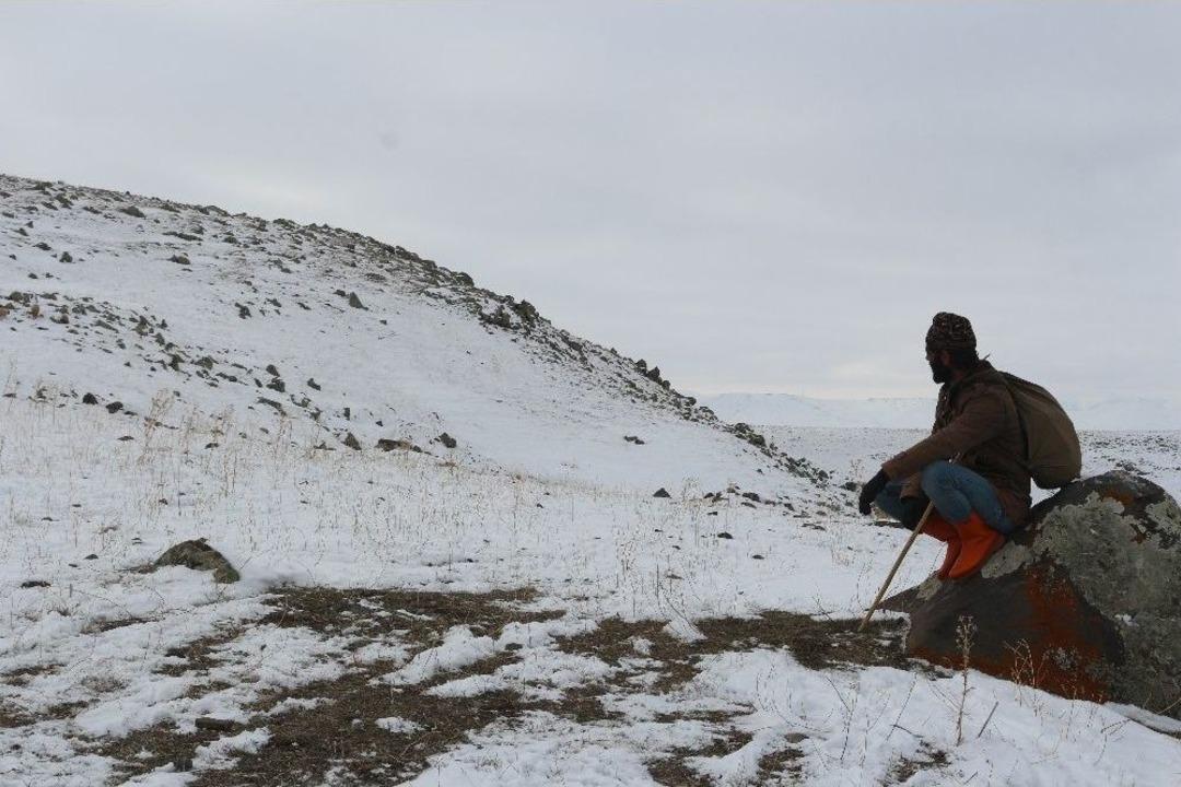 Dondurucu Soğuğa Rağmen Hayvanlarını Otlatıyor