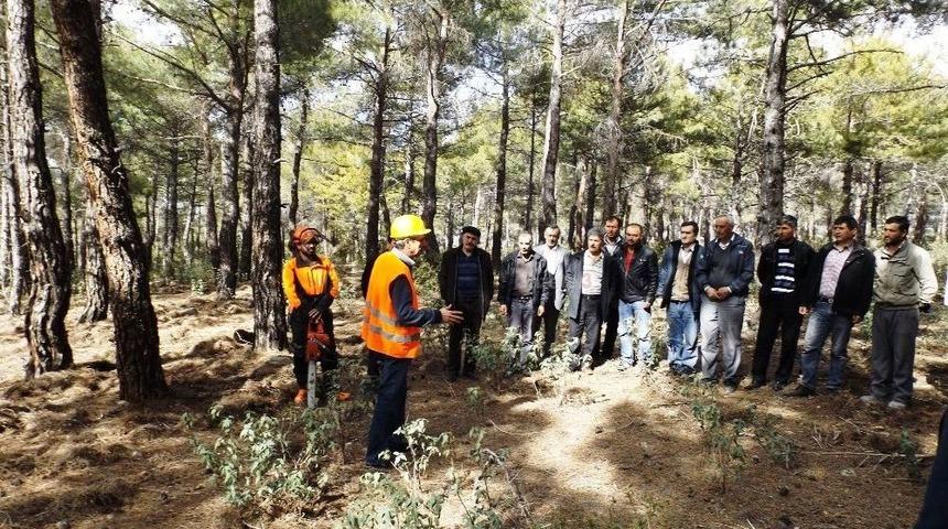 Antalya&rsquo;da Ağa&ccedil; Kesme Ve Boylama Operat&ouml;rl&uuml;ğ&uuml; Kursu