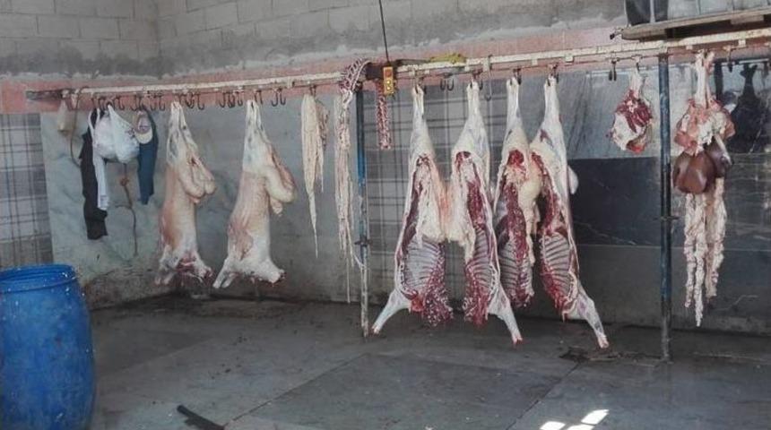 Reyhanlı’da Kaçak Et Operasyonu