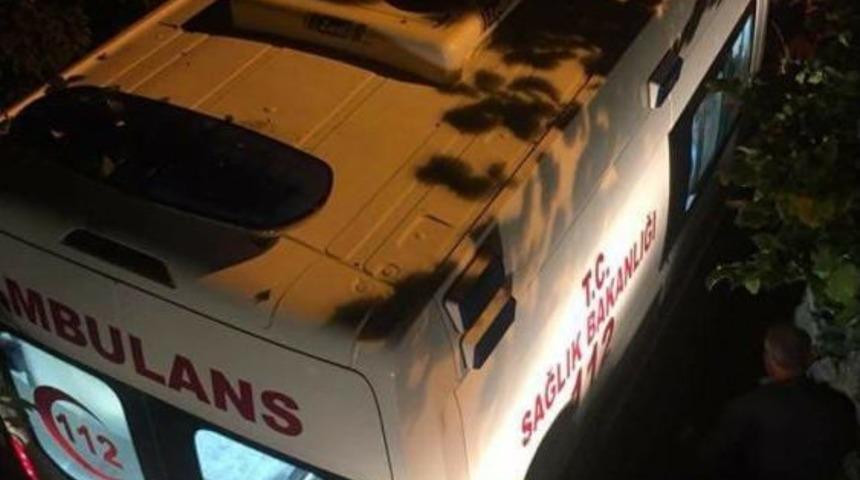 Hasta Almaya Giden Ambulans &Ccedil;amura Saplandı