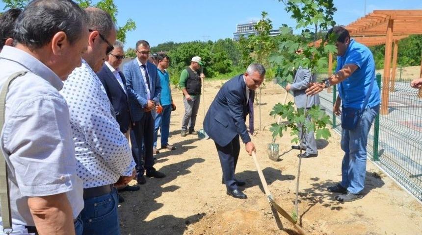 Geleneksel Okçuluk Alanı Çevresine Fidan Dikimi Gerçekleşti