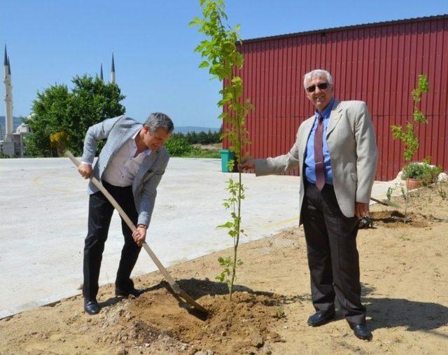 Geleneksel Okçuluk Alanı Çevresine Fidan Dikimi Gerçekleşti