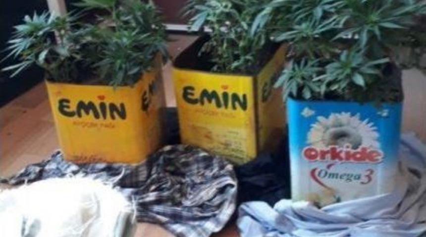 Uyuşturucu Üreten Ve Satan 3 Kişi Tutuklandı