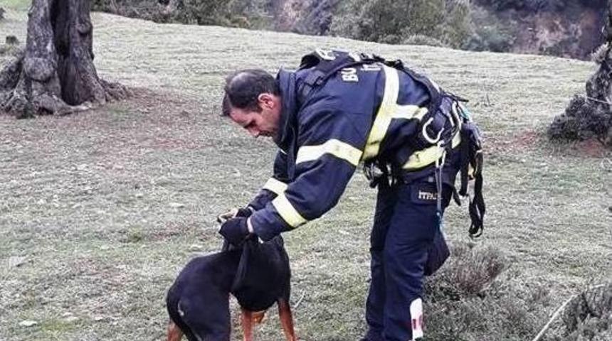 U&ccedil;urumda Mahsur Kalan K&ouml;peğin İmdadına İtfaiyeciler Yetişti