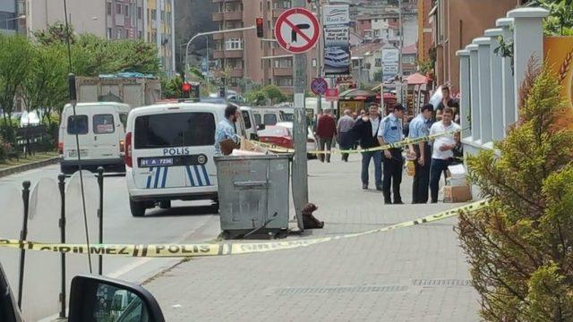 Çöp Konteynerinin Yanına Bırakılan Oyuncak Ayı Paniğe Yol Açtı