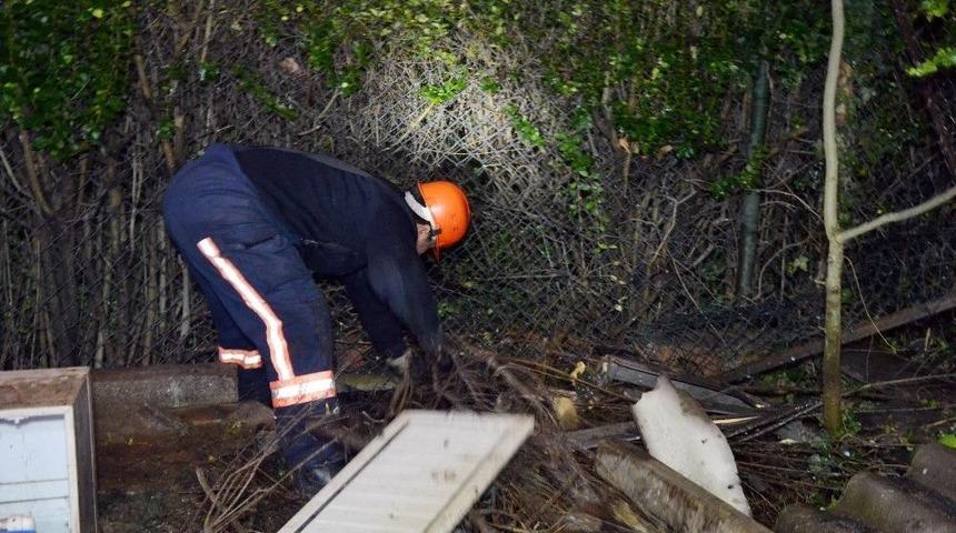 (&ouml;zel) Fiber Optik Kablo T&uuml;neline D&uuml;şen Yavru K&ouml;pek Kurtarılamadı