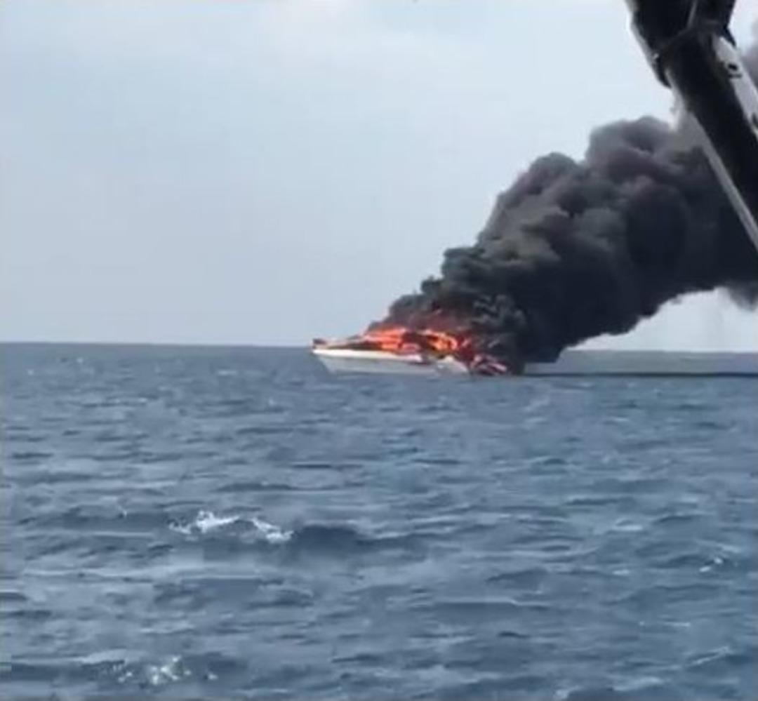 Kuşadası K&ouml;rfezi&rsquo;nde Can Pazarı