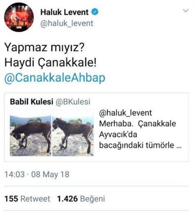 Eşeğin Bacağındaki Tümör İçin Seferberlik